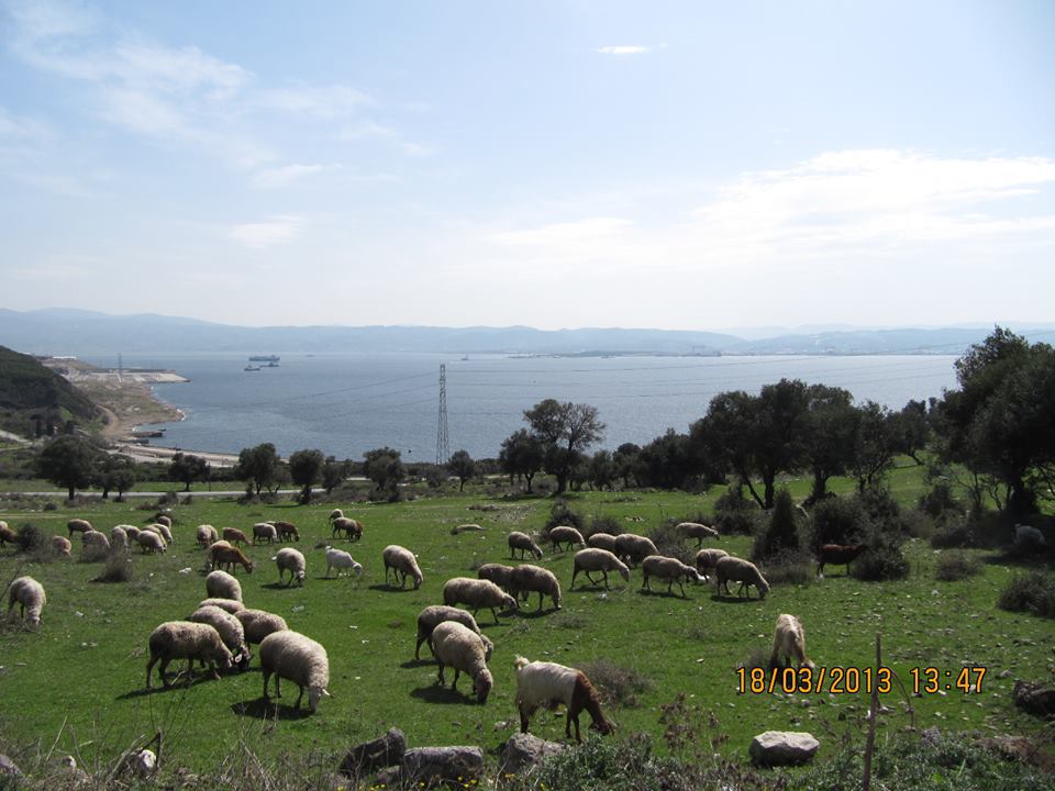 Gebze Muallim Köyü Resimleri 1