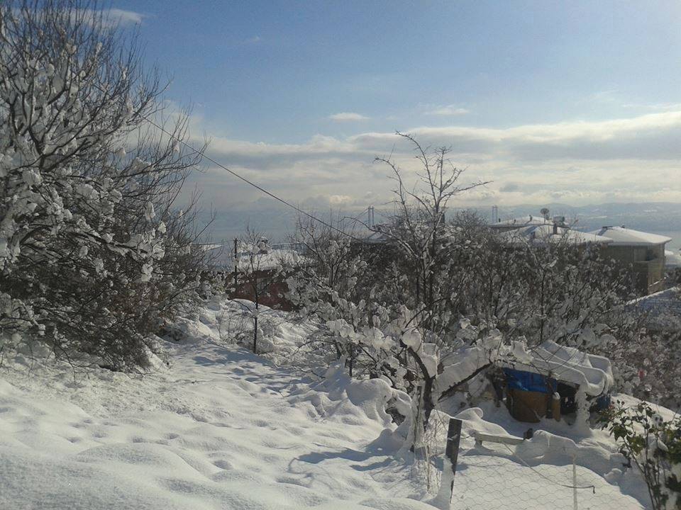 Gebze Muallim Köyü Resimleri 6