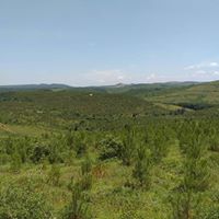 Gebze Mudarlı Köyü Resimleri 11