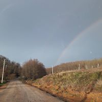 Gebze Mudarlı Köyü Resimleri 2