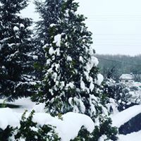 Gebze Mudarlı Köyü Resimleri 5