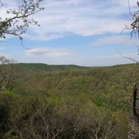 Gebze Mudarlı Köyü Resimleri 6