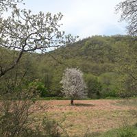 Gebze Mudarlı Köyü Resimleri 8