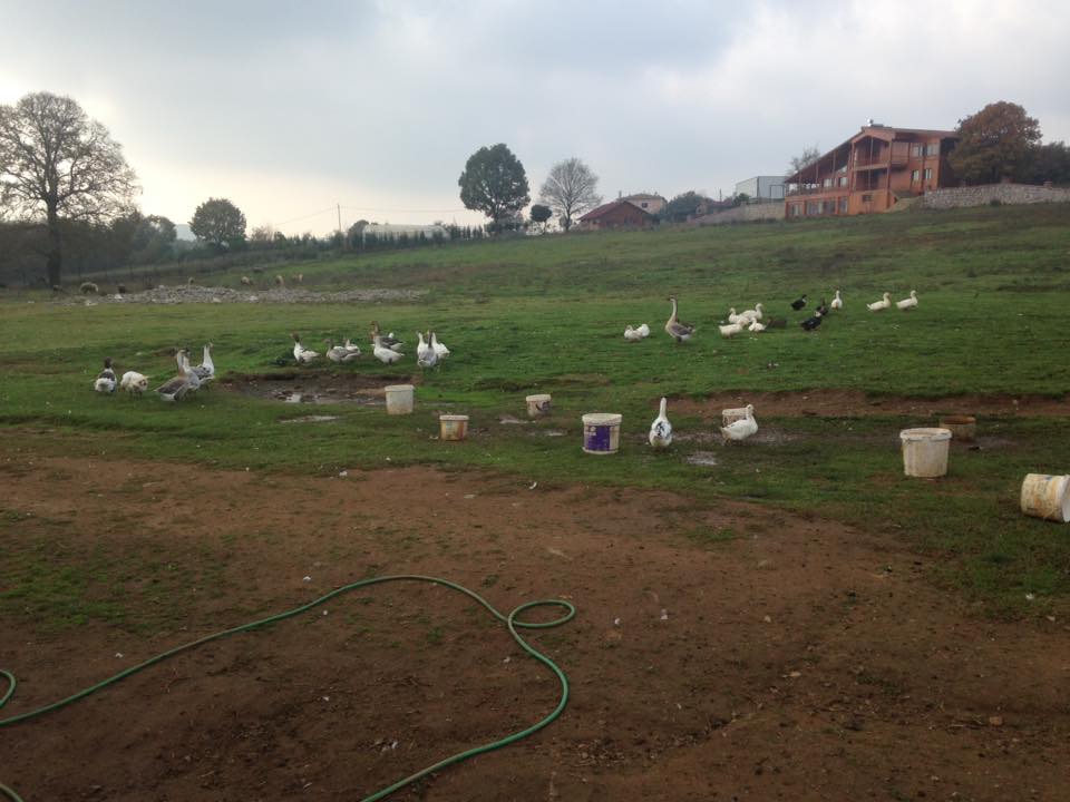 Gebze Ovacık Köyü Resimleri 2