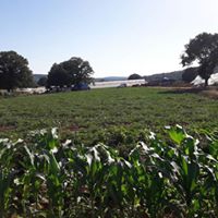 Gebze Ovacık Köyü Resimleri 6