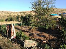 Divriği Balova Köyü Resimleri 2