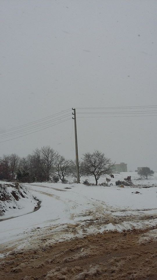Gebze Pelitli Köyü Resimleri 4