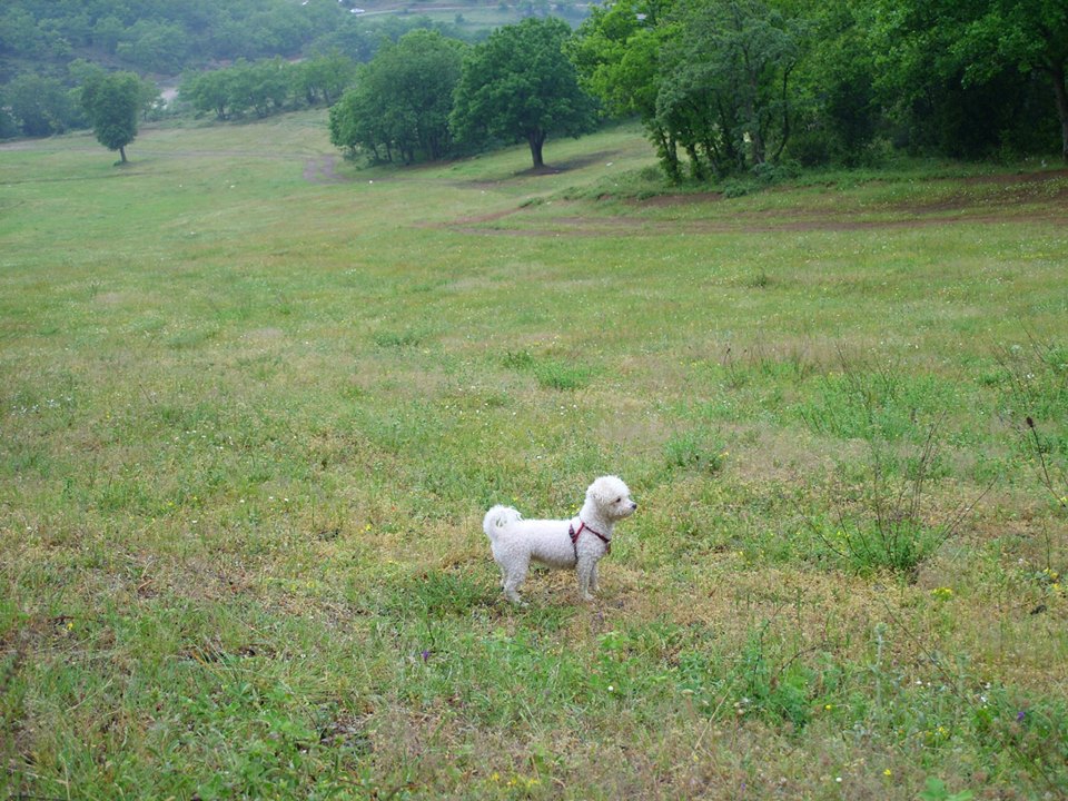 Gebze Yağcılar Köyü Resimleri 2