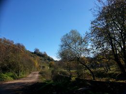 Gebze Yağcılar Köyü Resimleri 3