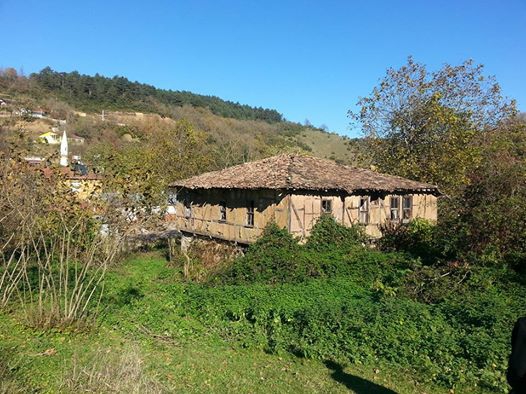 Gebze Yağcılar Köyü Resimleri 5