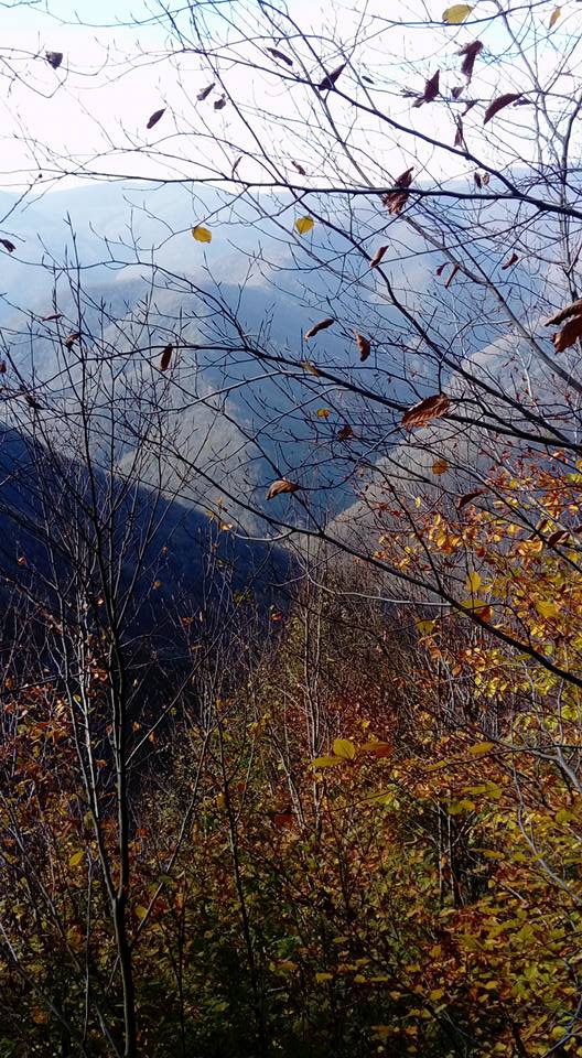 Gölcük Ayvazpınarı Köyü Resimleri 2
