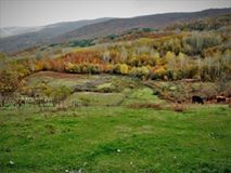 Gölcük Ayvazpınarı Köyü Resimleri 3