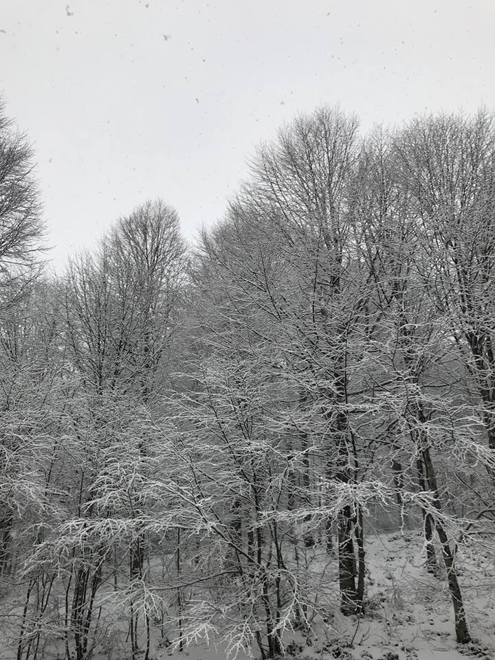 Gölcük Ayvazpınarı Köyü Resimleri 6