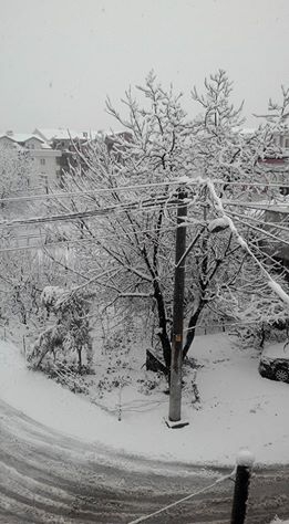 Gölcük Çiftlik Köyü Resimleri 2