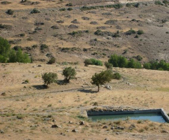 Divriği Bayırlı Köyü Resimleri 11