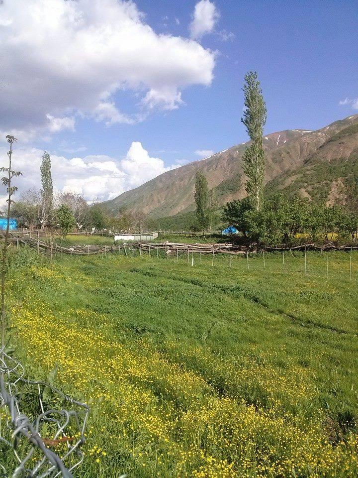 Muş Ağıllı Köyü Resimleri 7