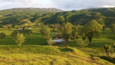 Muş Alaniçi Köyü Resimleri 10