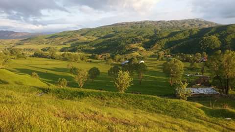 Muş Alaniçi Köyü Resimleri 11