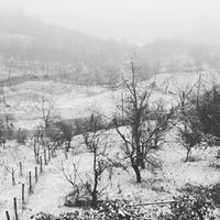 Gölcük Hamidiye Köyü Resimleri 21