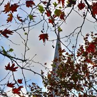 Gölcük Hamidiye Köyü Resimleri 23