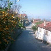 Gölcük Hamidiye Köyü Resimleri 3