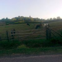 Gölcük Hamidiye Köyü Resimleri 8