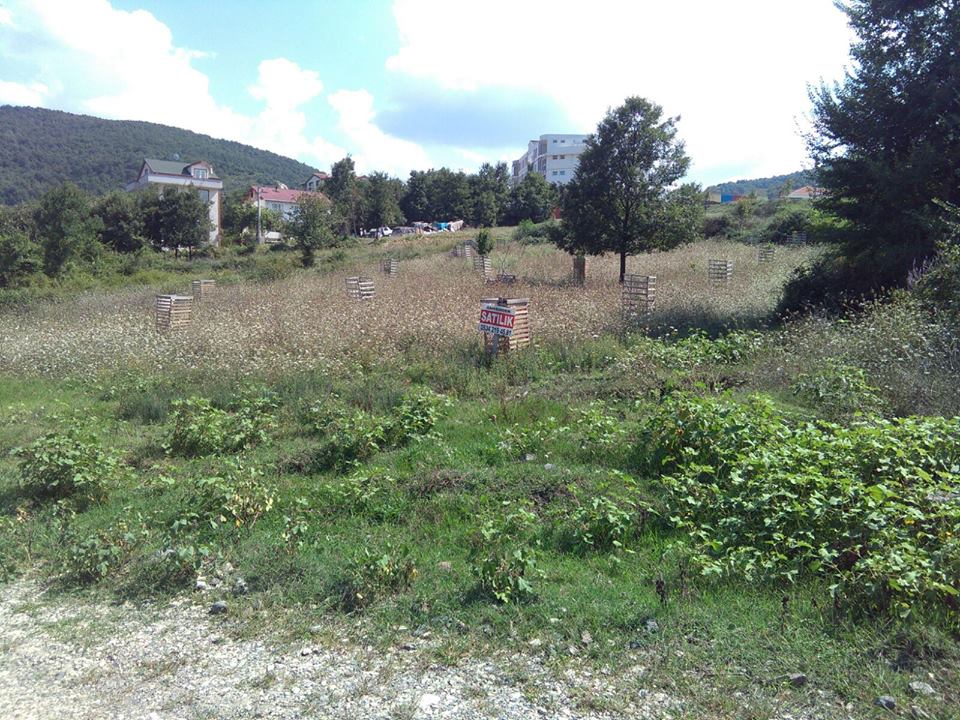 Gölcük Hisareyn Köyü Resimleri 3