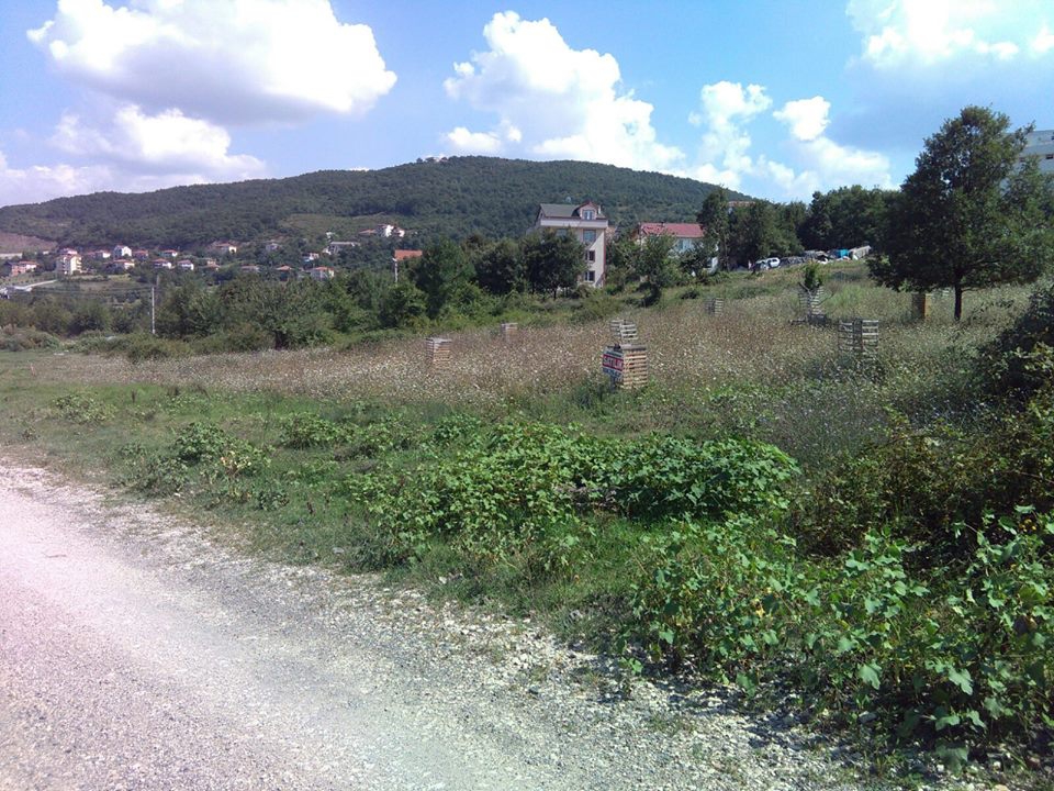 Gölcük Hisareyn Köyü Resimleri 4