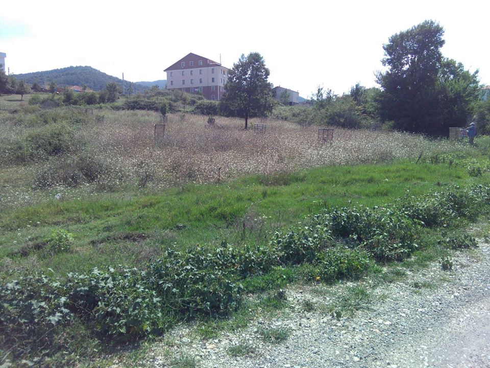 Gölcük Hisareyn Köyü Resimleri 5