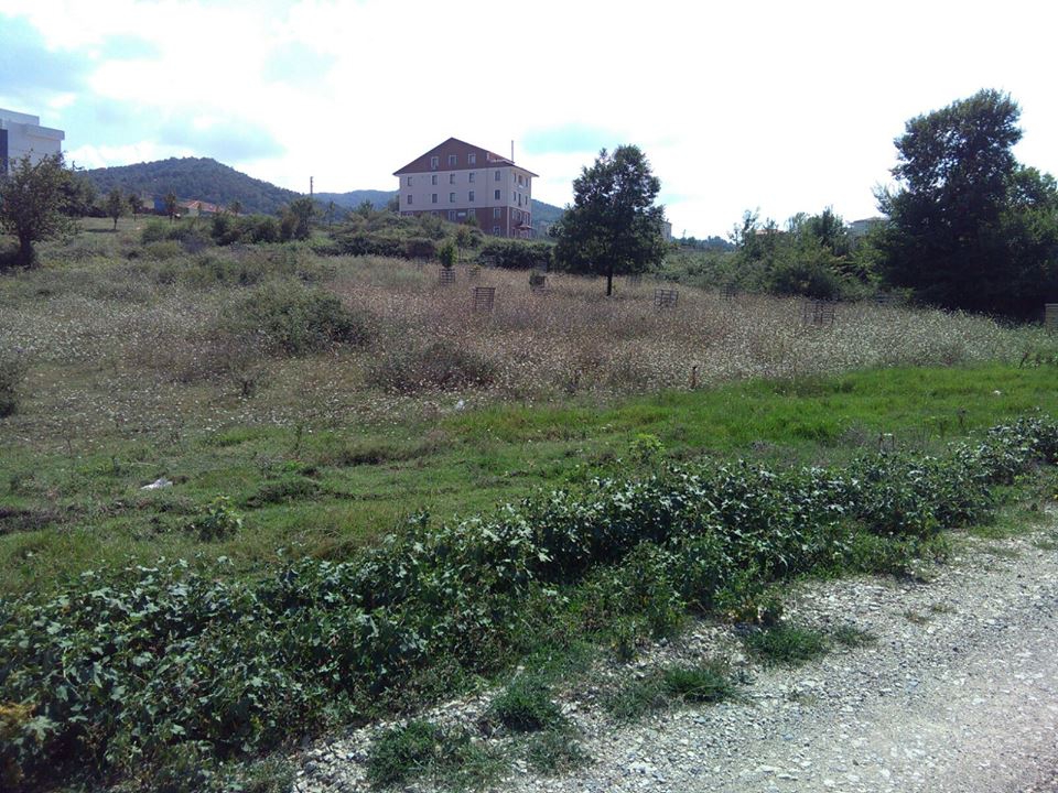 Gölcük Hisareyn Köyü Resimleri 6