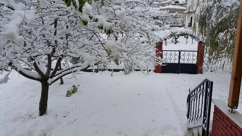 Gölcük Hisareyn Merkez Köyü Resimleri 2