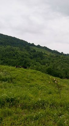 Gölcük İcadiye Köyü Resimleri 4