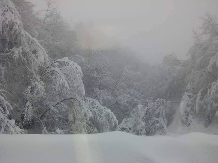 Gölcük İrşadiye Köyü Resimleri 4