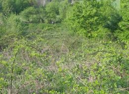 Gölcük İrşadiye Köyü Resimleri 5