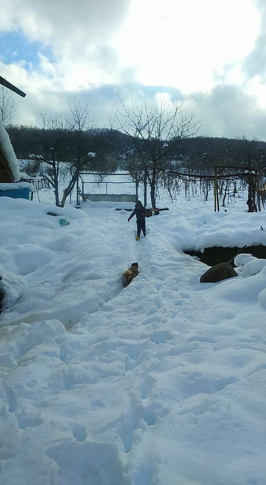 Gölcük Mamuriye Köyü Resimleri 5