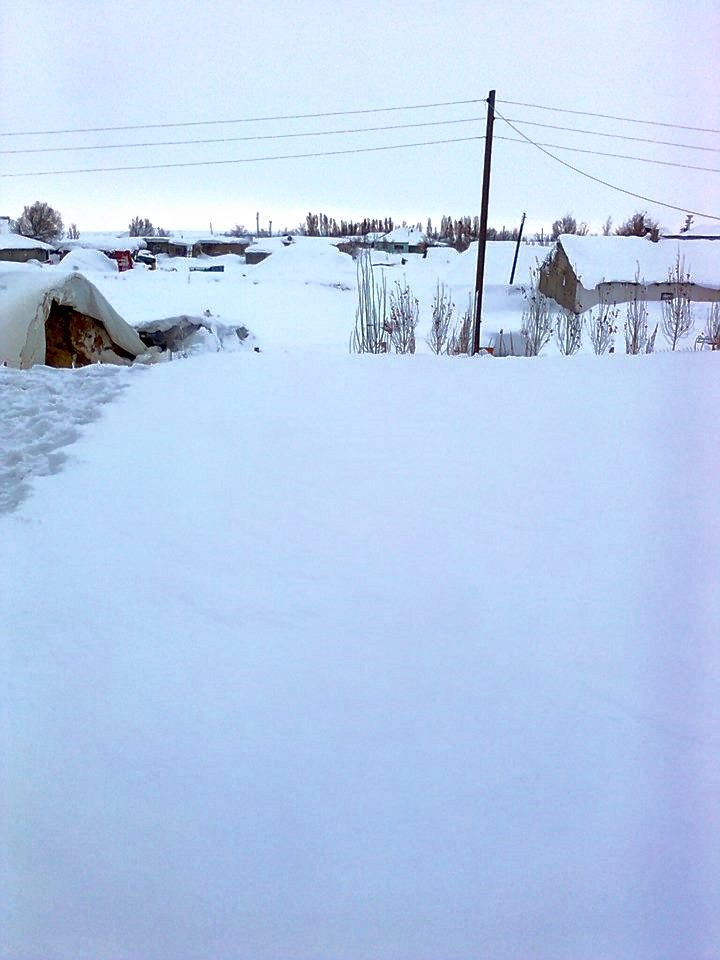 Muş Aşağıyongalı Köyü Resimleri 11