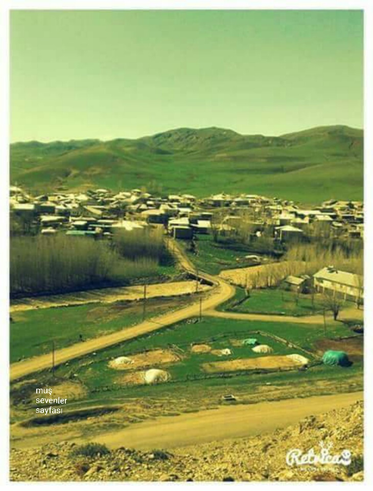 Muş Aşağıyongalı Köyü Resimleri 3