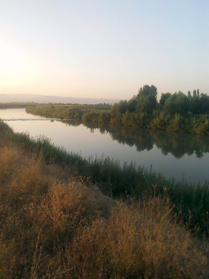 Muş Bağlar Köyü Resimleri 5