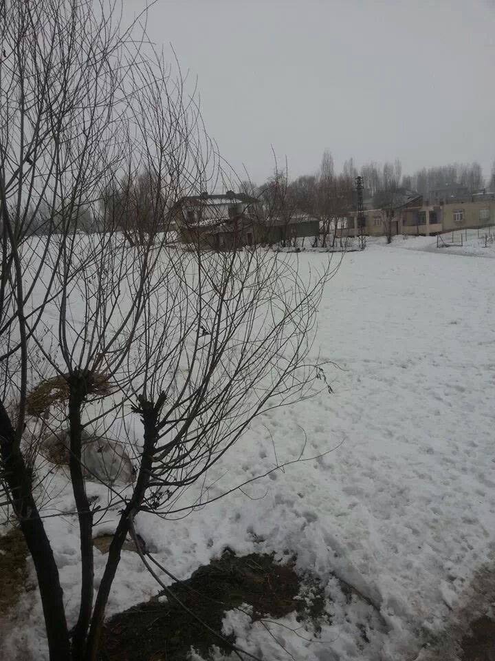 Muş Bağlar Köyü Resimleri 6