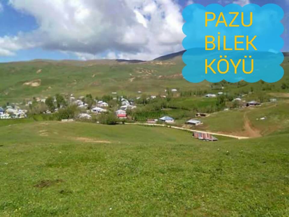 Muş Bilek Köyü Resimleri 1