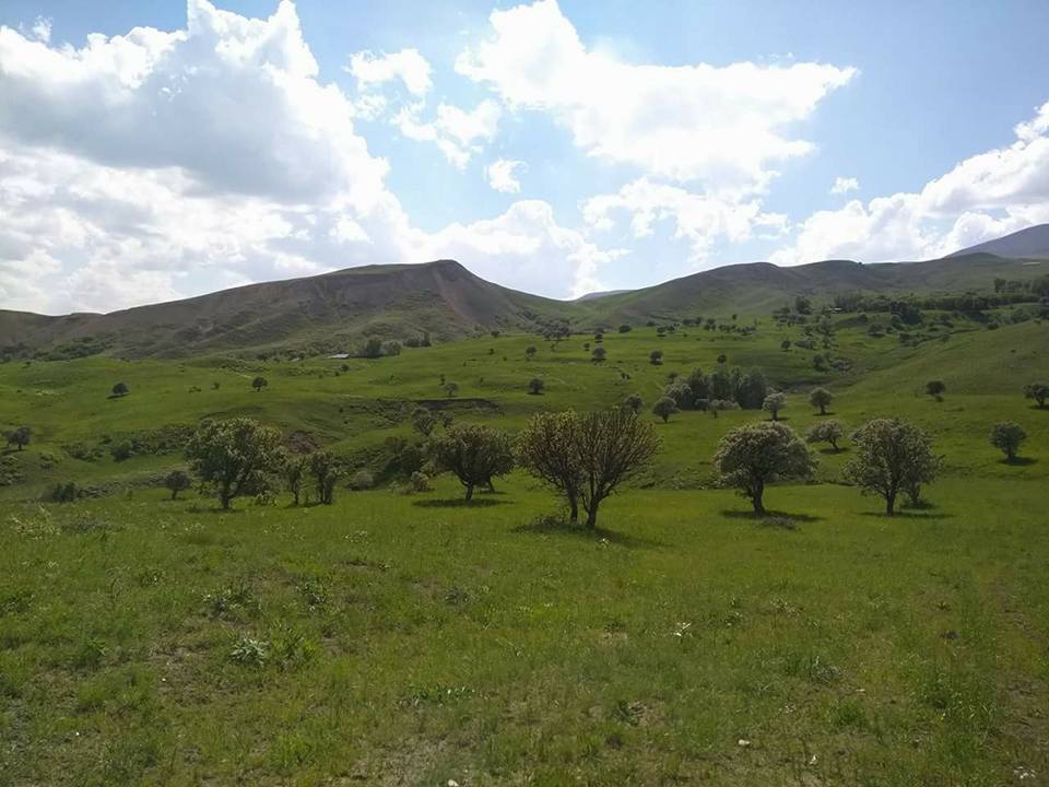 Muş Bilek Köyü Resimleri 3