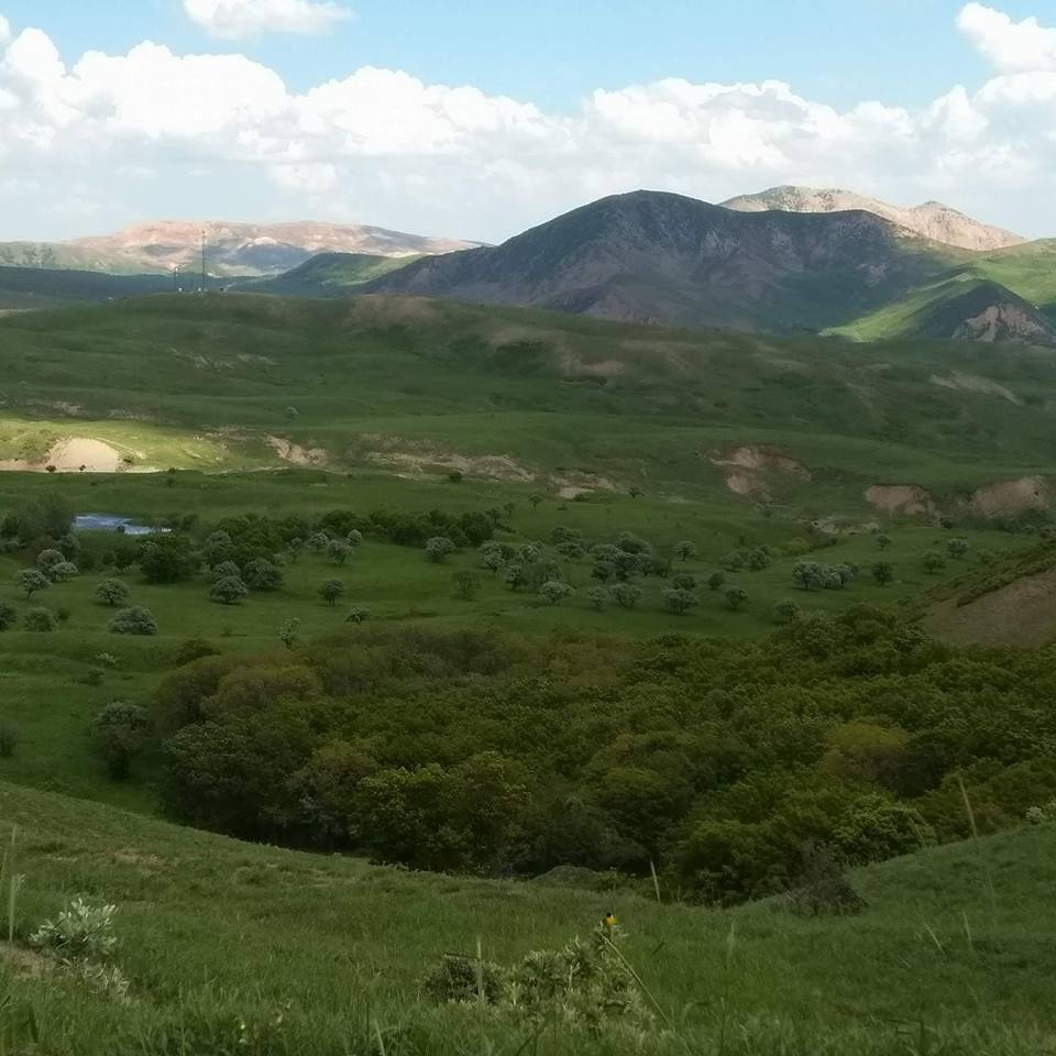 Muş Bilek Köyü Resimleri 5