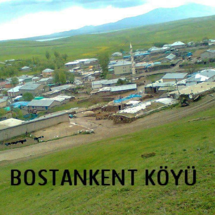 Muş Bostankent Köyü Resimleri 1