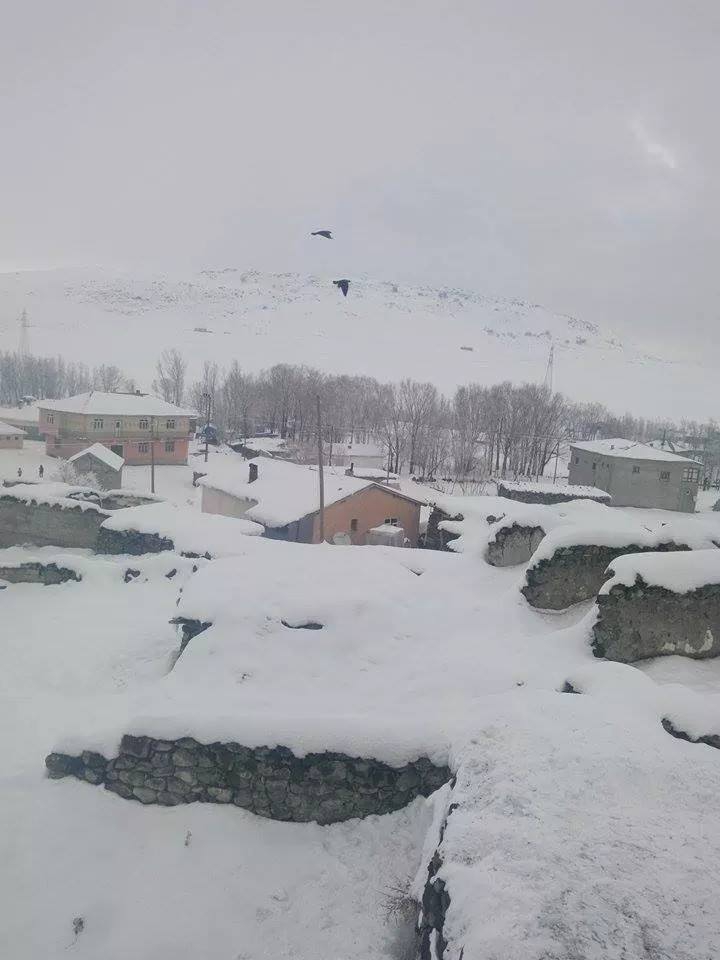 Muş Bostankent Köyü Resimleri 12