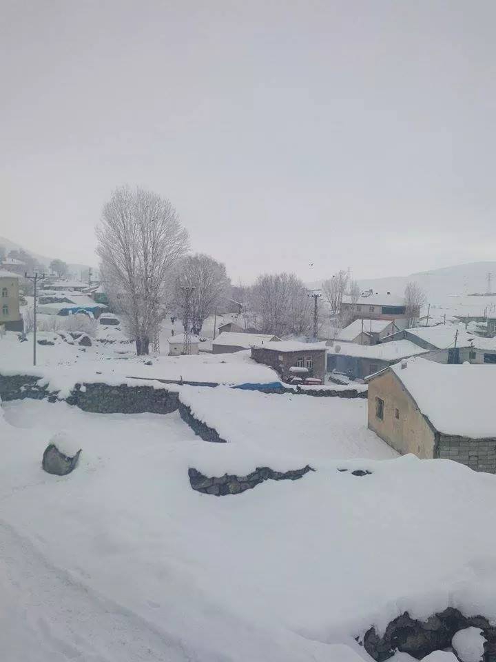 Muş Bostankent Köyü Resimleri 13