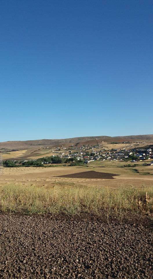 Muş Bostankent Köyü Resimleri 9