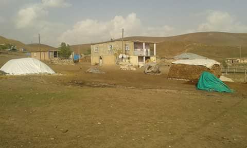 Muş Boyuncuk Köyü Resimleri 10