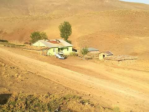 Muş Boyuncuk Köyü Resimleri 11