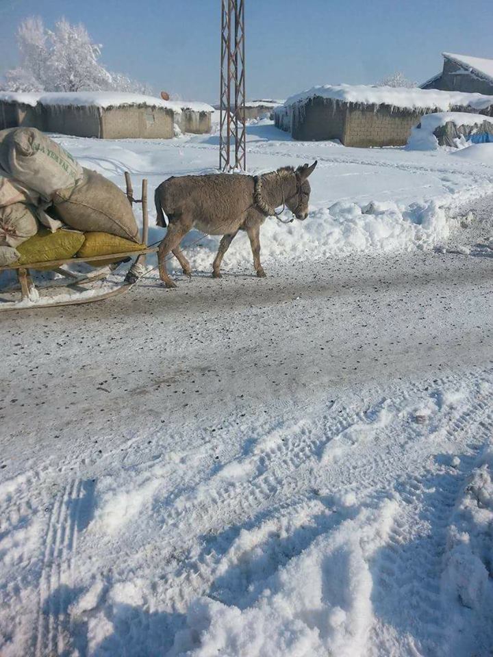 Muş Çukurbağ Köyü Resimleri 2