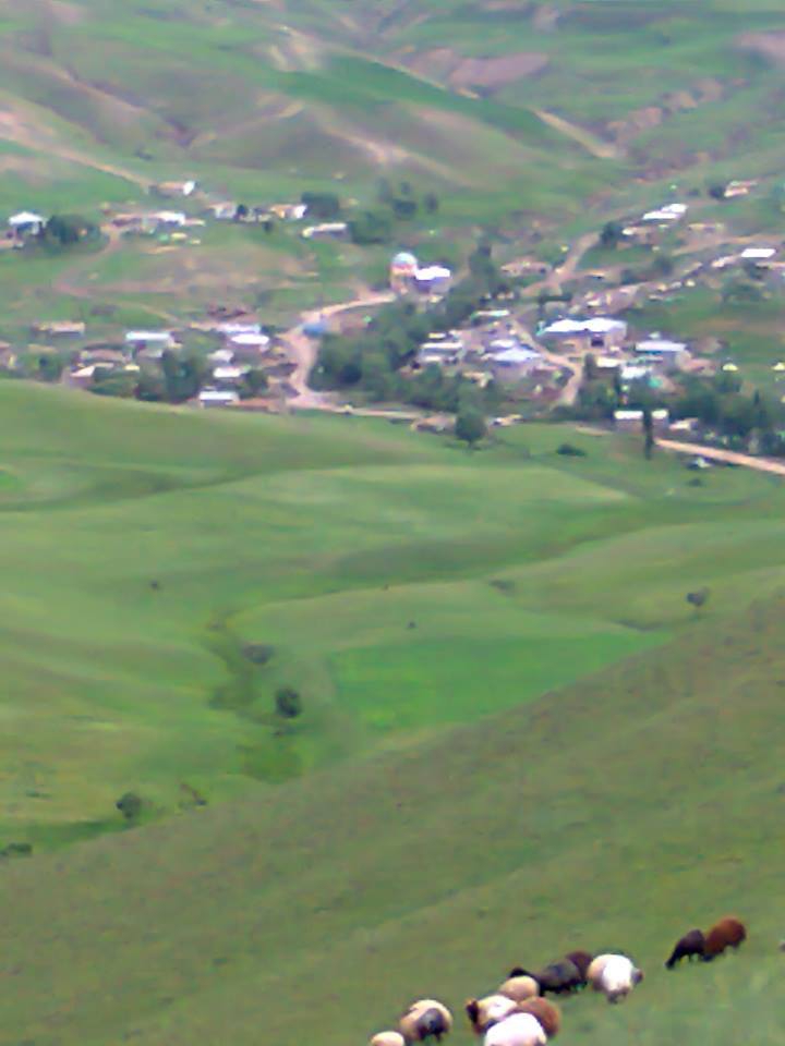 Muş Dereyurt Köyü Resimleri 3